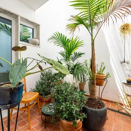 Elegant Artists House Rooftop Pool Downtown Tavira
